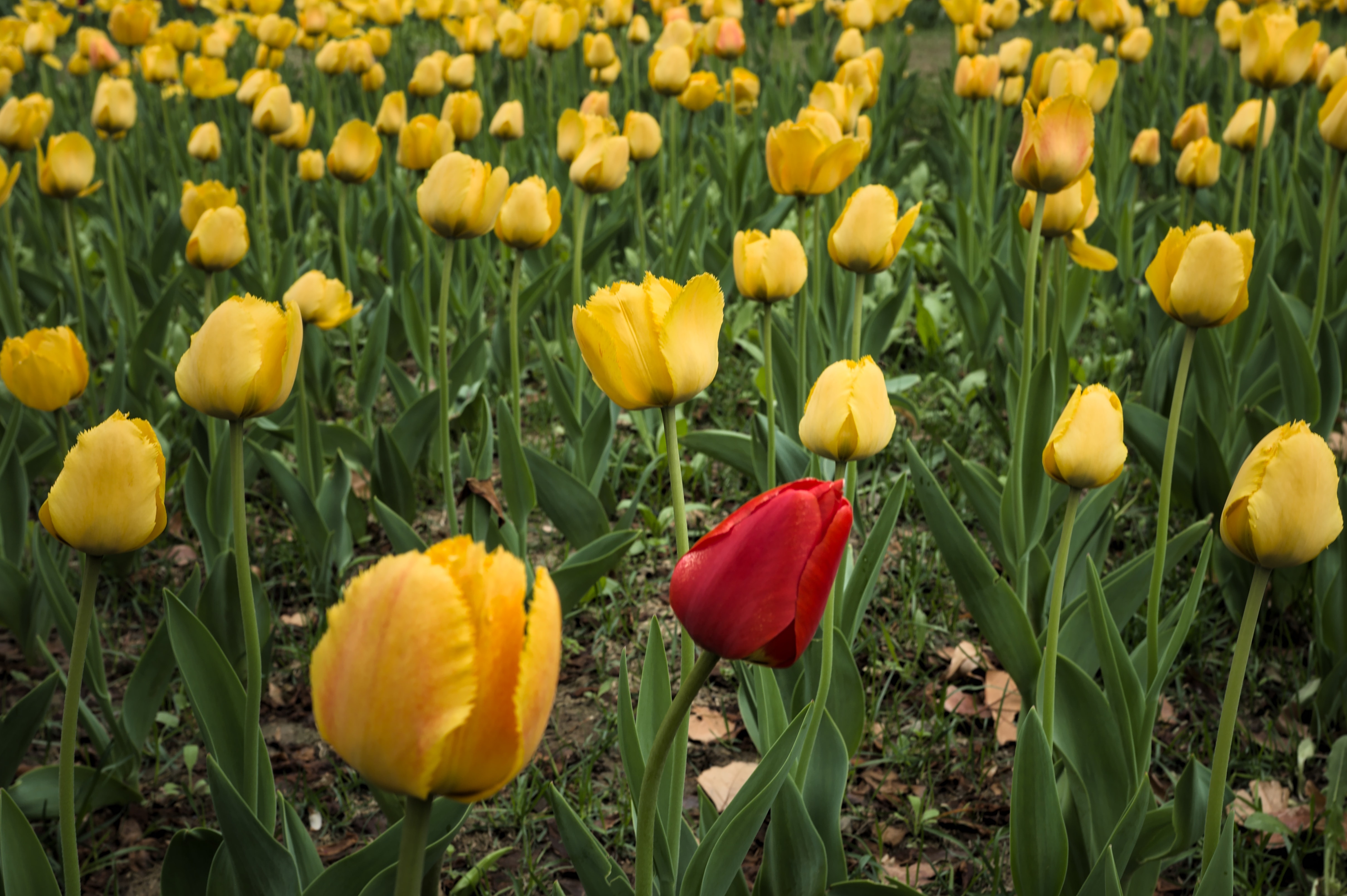 Proliferation of Choice: Impact on Sales | FullSurge