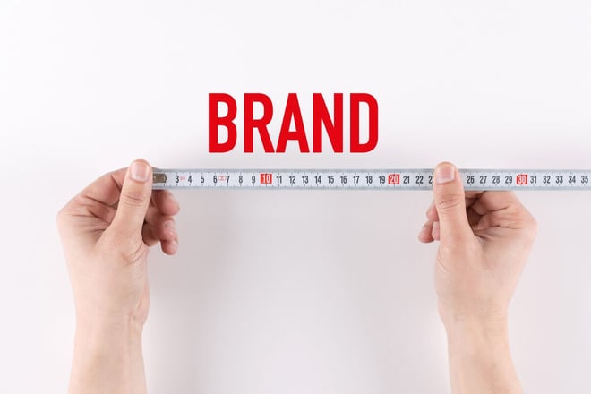 Beyond Metrics—Understanding the Vital Importance of Brand Measurement